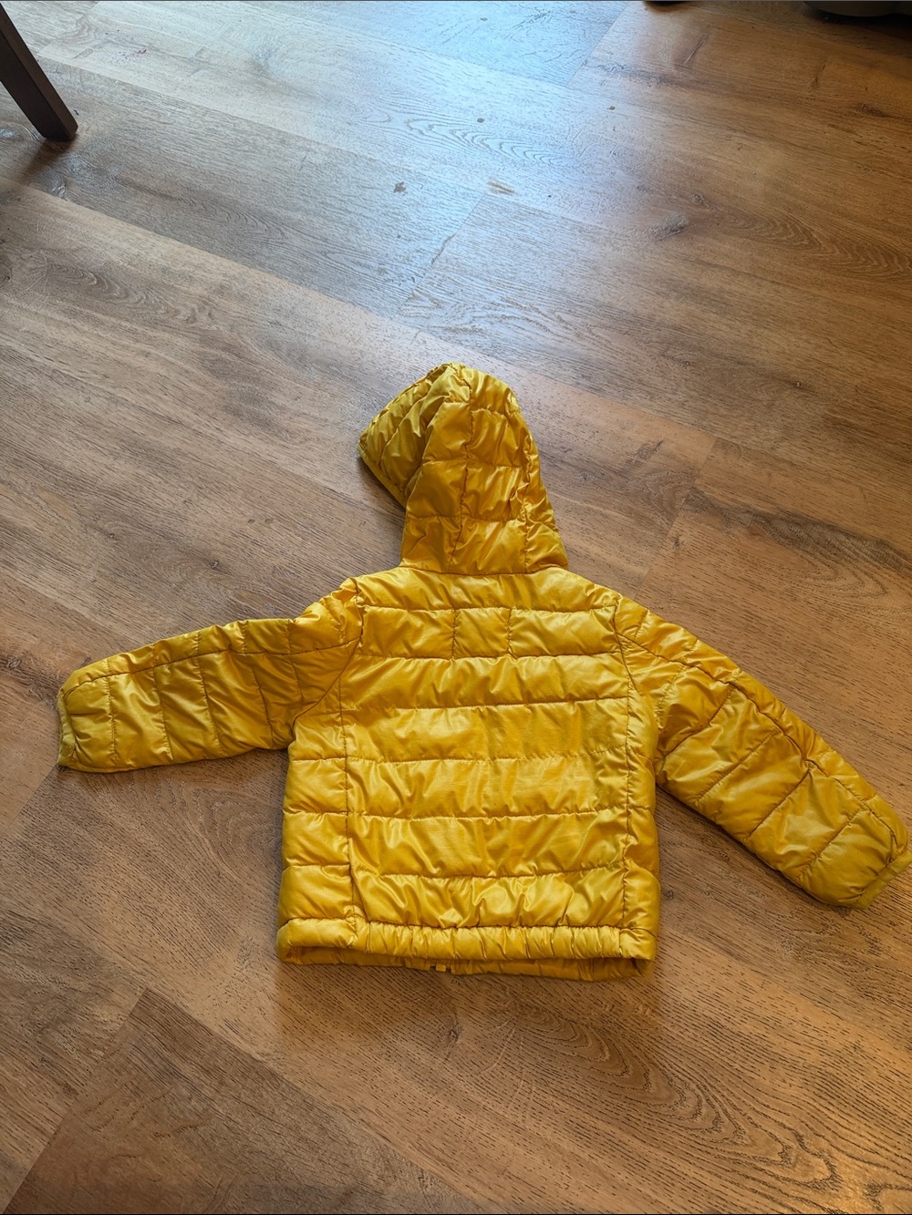 Primary Yellow Hooded Puffer Jacket - Picture 4 of 5